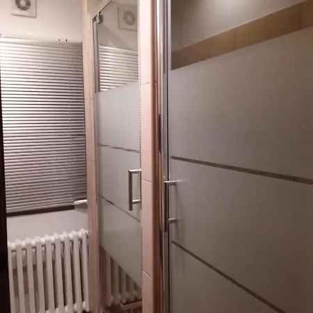Hutnik *